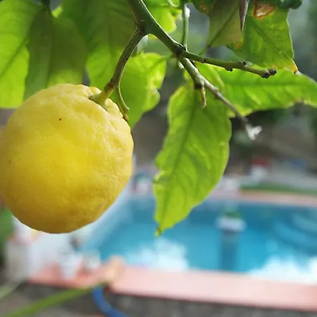 Oasi Della Natura With Pool By Local House Villa Caronia